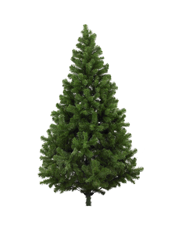 Christmas Trees