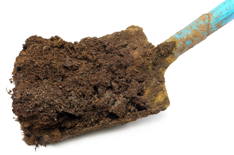 Manure