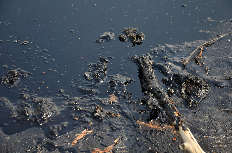 Petroleum Contaminated Soils